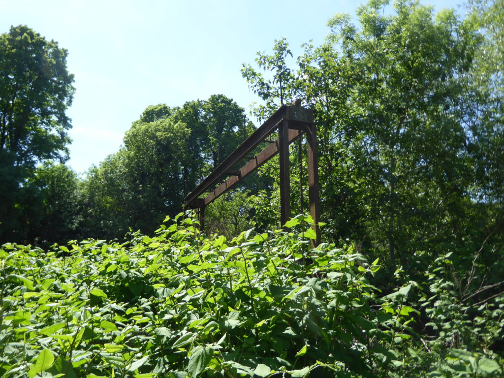 An iron structure appears over tall vegetation.