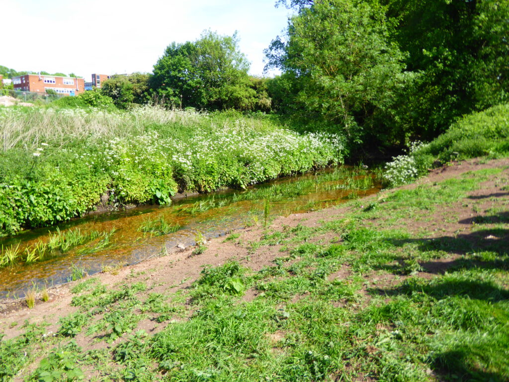 Photograph showing the re-profiling of the river bank. School buildings can be seen in the distance.