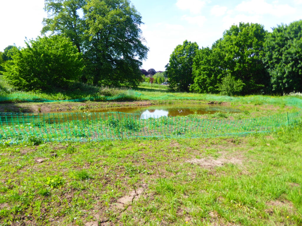 Photograph showing a newly dug pond surrounced by plastic net fencing.