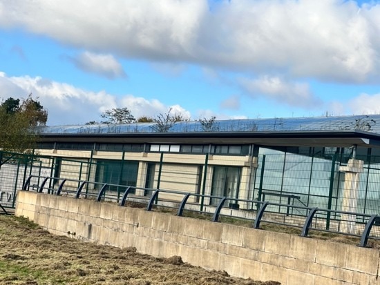 Photograph of the Network Railway building sowing vegetation growing out of the roof and a dilapidated condition.