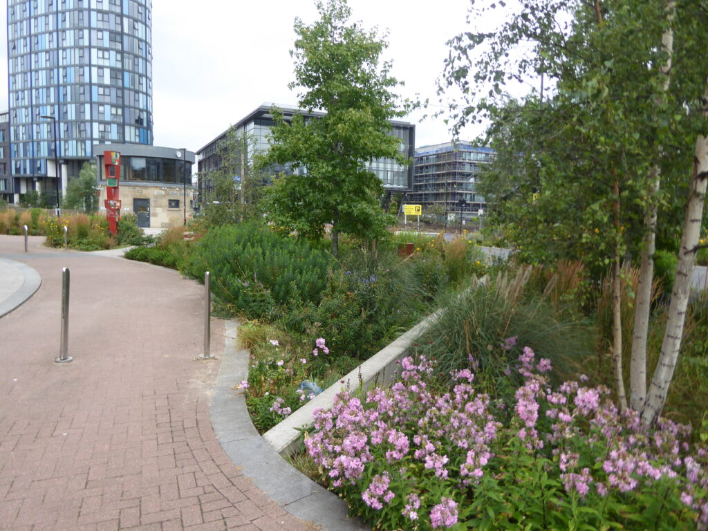 Photograph of a landscaped area in Sheffield